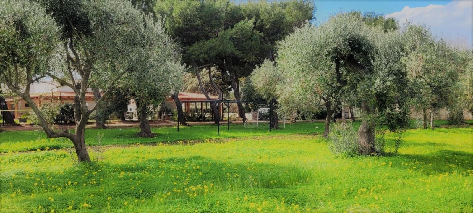 Villa Costanza Bari Exterior photo