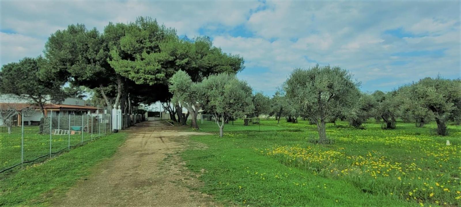 Villa Costanza Bari Exterior photo