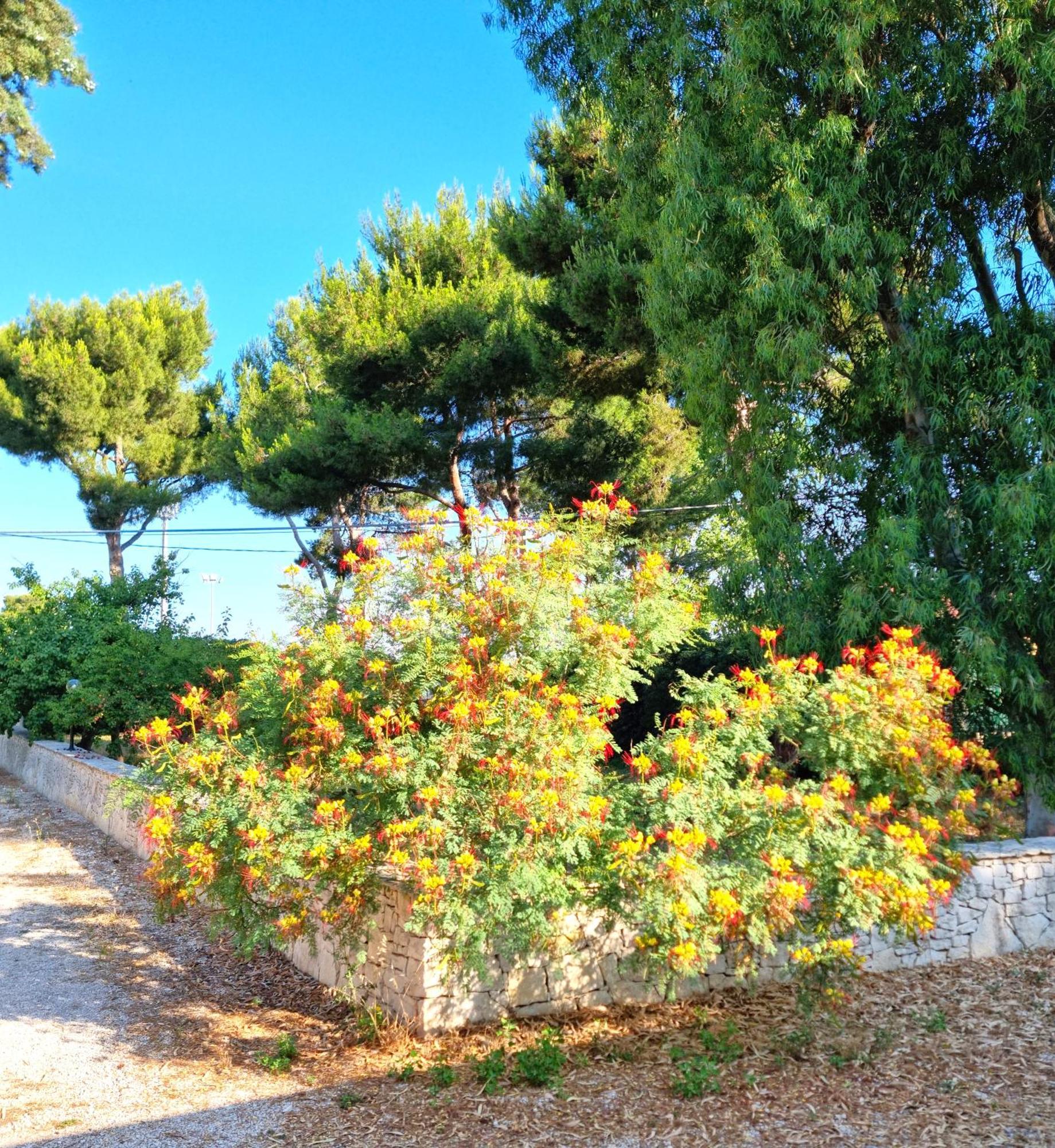 Villa Costanza Bari Exterior photo